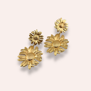 Helianthus studs