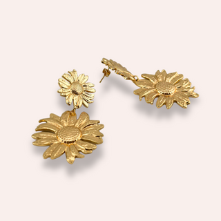 Helianthus studs