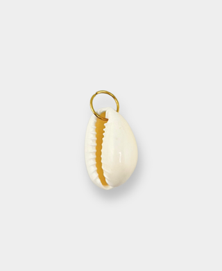 Cowrie Shell Charm