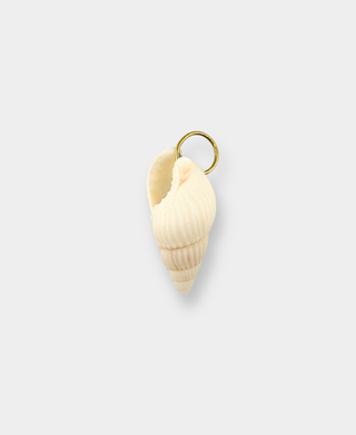 Spiral Shell Charm