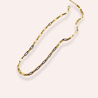 Posey Shackle Necklace