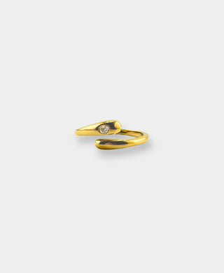 Axiom Ring