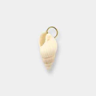 Spiral Shell Charm