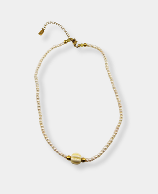 Collar de Asher